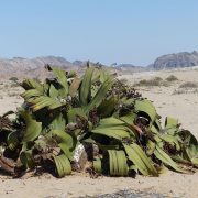 Aktuelle Informationen & Events bei der DNG