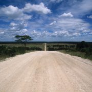 DNG pflegt und fördert die Beziehungen zwischen Deutschland und Namibia