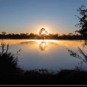 Video zum 40 jährigen Jubiläum der Deutsch-Namibische Gesellschaft