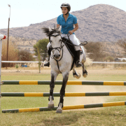 Beitragsbild - Pferd als Partner des Menschen in Berlin und Windhuk