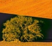 "Film ab!" in Brandenburg