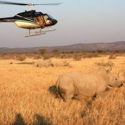 Helikopter mit Nashorn
