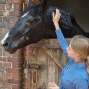 Zwischenbericht Pferdesport