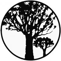 Deutsch-Namibische Gesellschaft e.V. logo